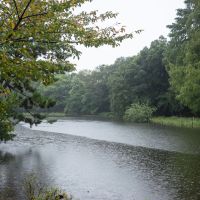 練馬区石神井町の賃貸物件/建物向かいは石神井公園の綺麗な池