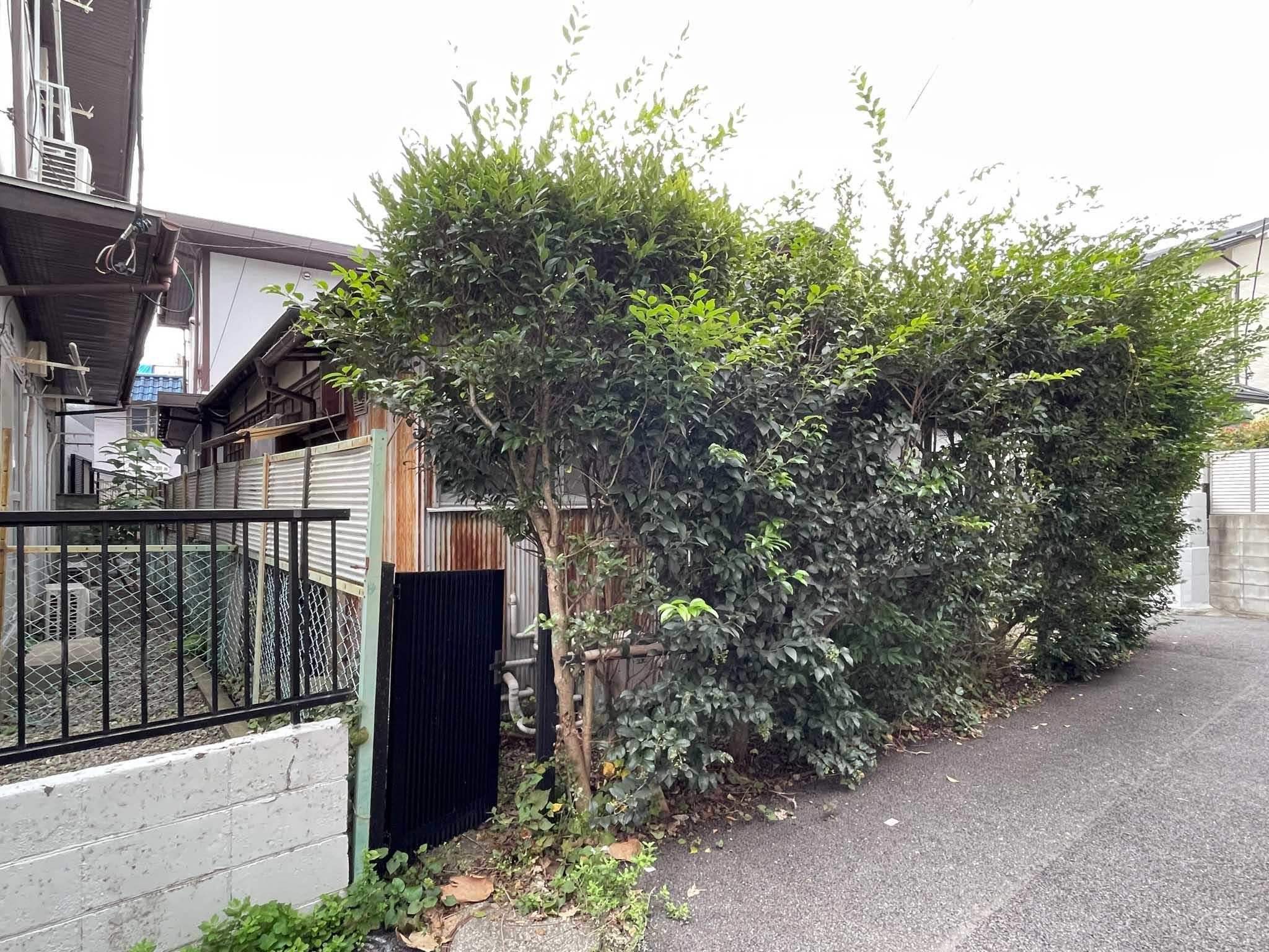 中野区上高田の賃貸物件/建物を北側から
