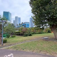 港区赤坂の賃貸物件/目の前の檜町公園では、大きな原っぱからビル群が望めます。朝の散歩やちょっとした息抜きにぜひ