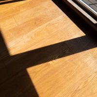 小金井市本町の賃貸物件/窓辺に気持ちの良い光が落ちる