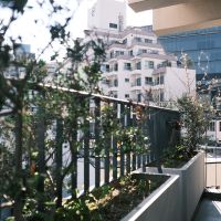 渋谷区神宮前の賃貸物件/バルコニーにはフラワーボックス