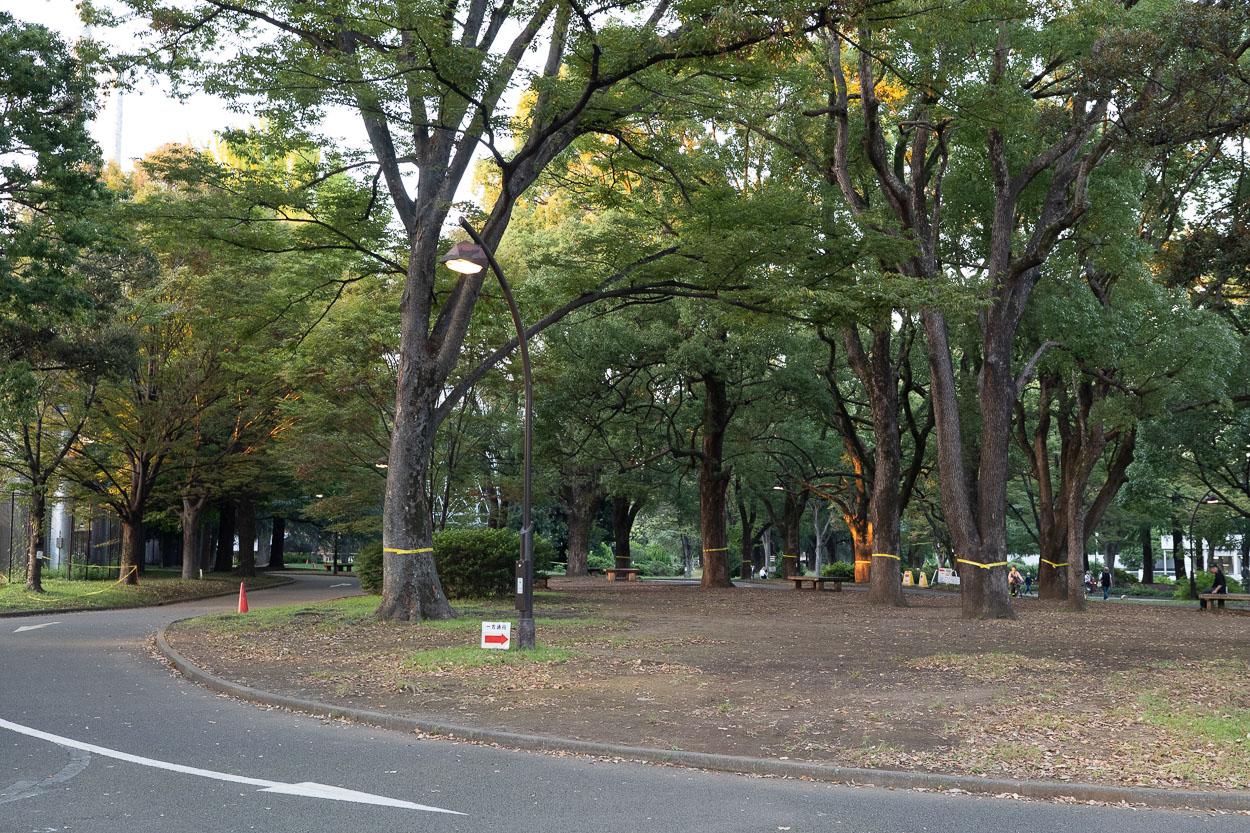 世田谷区駒沢の賃貸物件/駅までは公園を散歩気分で