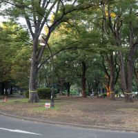 世田谷区駒沢の賃貸物件/駅までは公園を散歩気分で