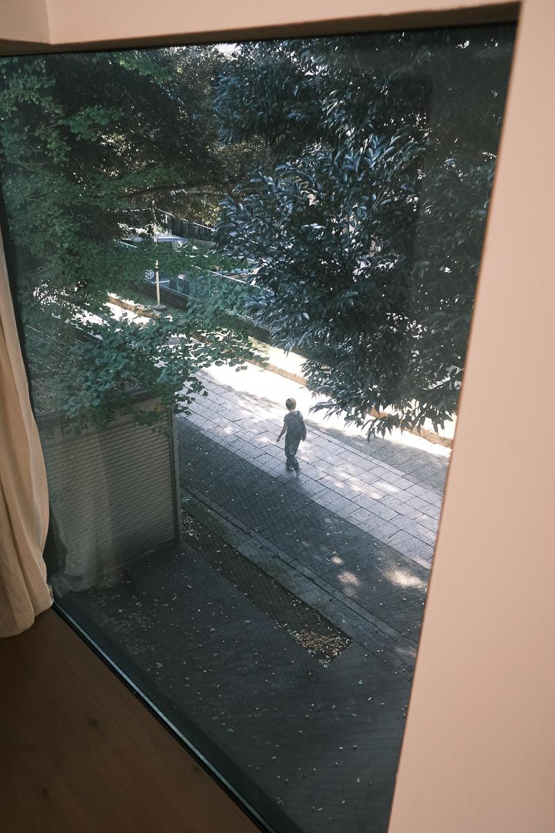 渋谷区東の売買物件/玄関から階段を上がってすぐの窓からは、神社の参道が見える