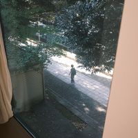 渋谷区東の売買物件/玄関から階段を上がってすぐの窓からは、神社の参道が見える