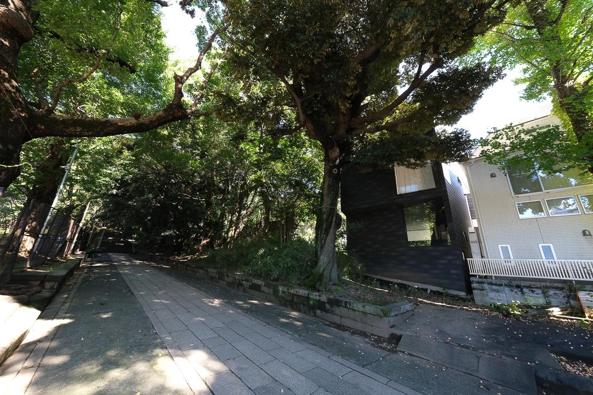 渋谷区東の売買物件/この風情のある参道に面しています