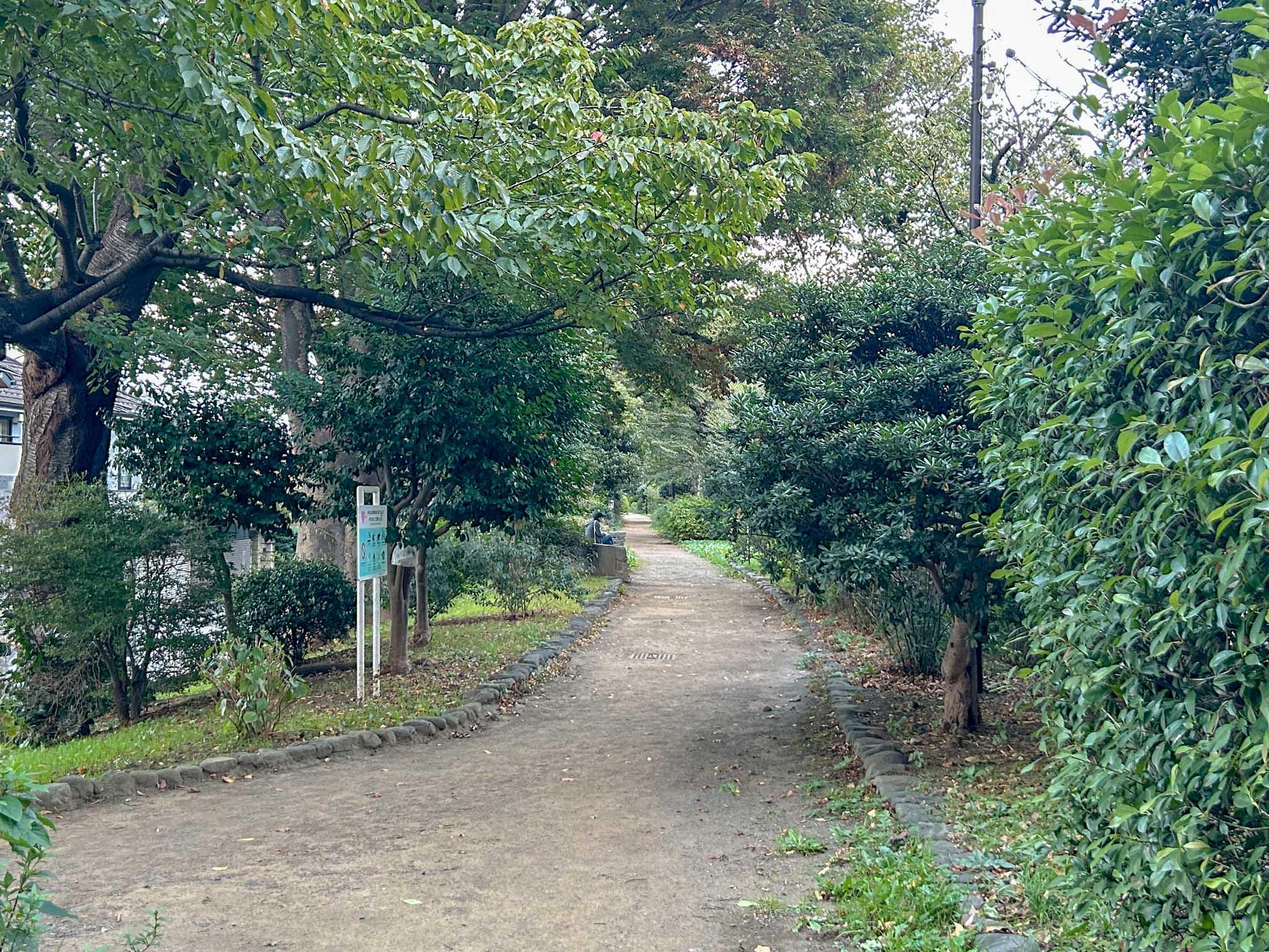 杉並区下高井戸の賃貸物件/近所にある玉川上水第二公園。朝の散歩にぴったり
