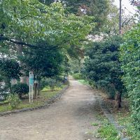 杉並区下高井戸の賃貸物件/近所にある玉川上水第二公園。朝の散歩にぴったり