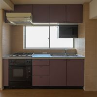 豊島区高田の賃貸物件/キッチンはガスコンロ3口、その下に電子コンベックとグリル