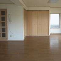 豊島区高田の賃貸物件/キッチン側から部屋を見た視点