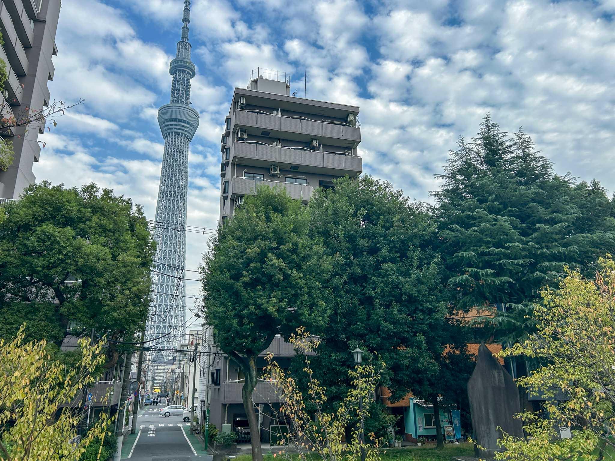 墨田区向島の賃貸物件/外観。公園とスカイツリーに挟まれた、ぜいたくなロケーション