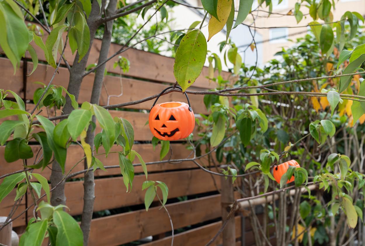 目黒区平町の賃貸物件/共用部の植栽には、ハロウィン仕様のかわいらしい飾り付け