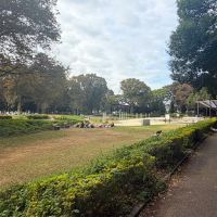 目黒区東が丘の賃貸物件/駒沢公園を自分の庭のように使える距離感