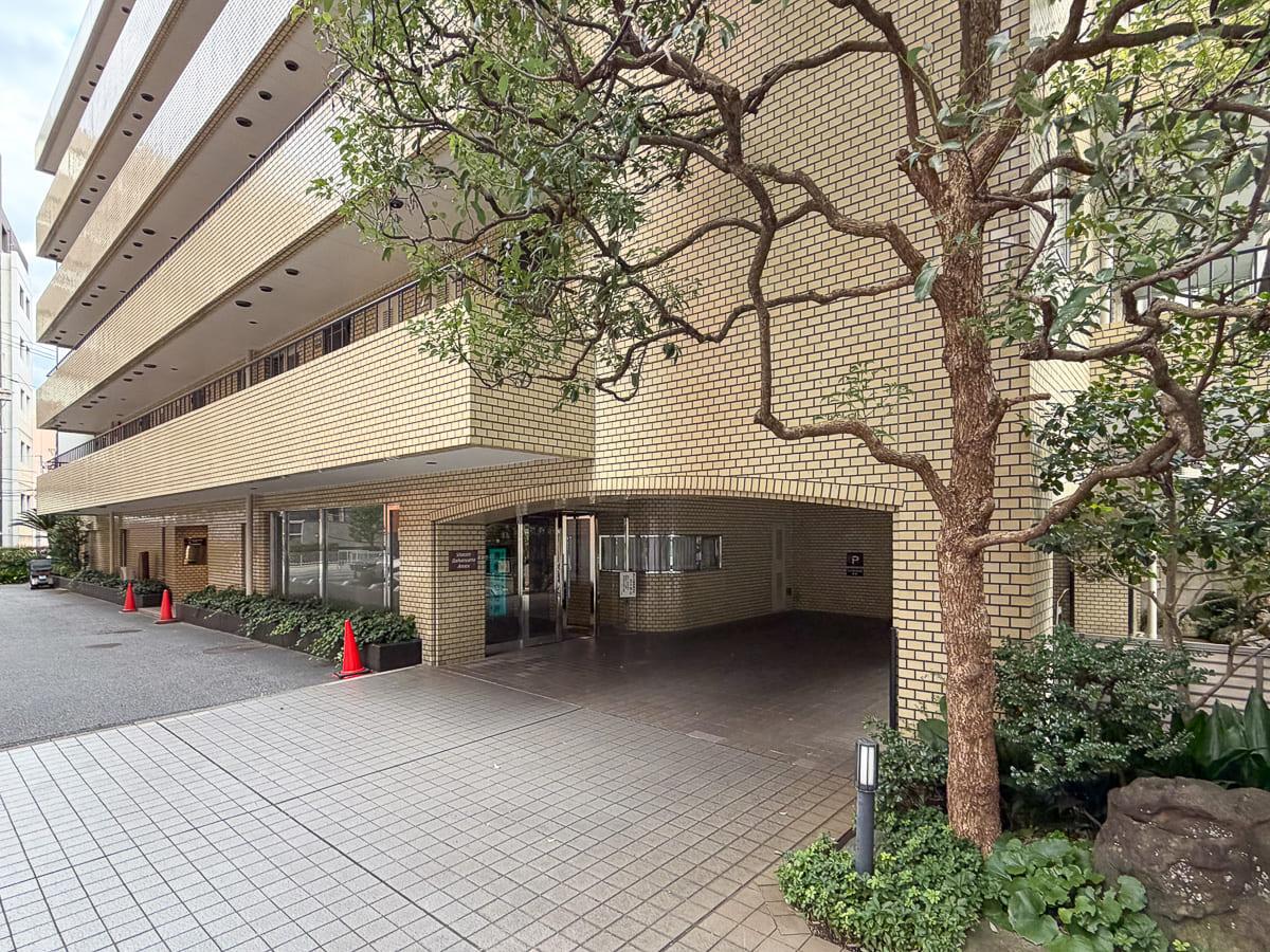 渋谷区代官山町の賃貸物件/大きな木が迎えるアプローチ。品のある落ち着いた佇まいです
