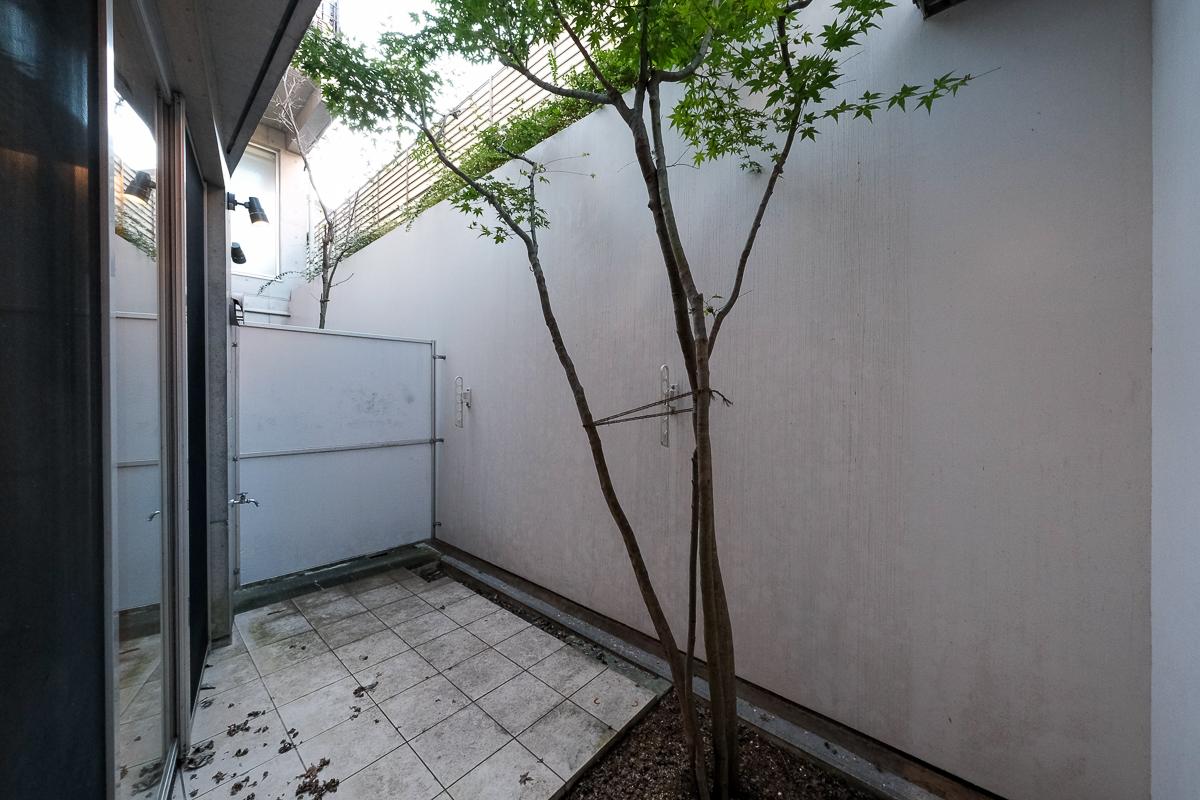 調布市若葉町の売買物件/ドライエリアに植えられたシンボルツリー