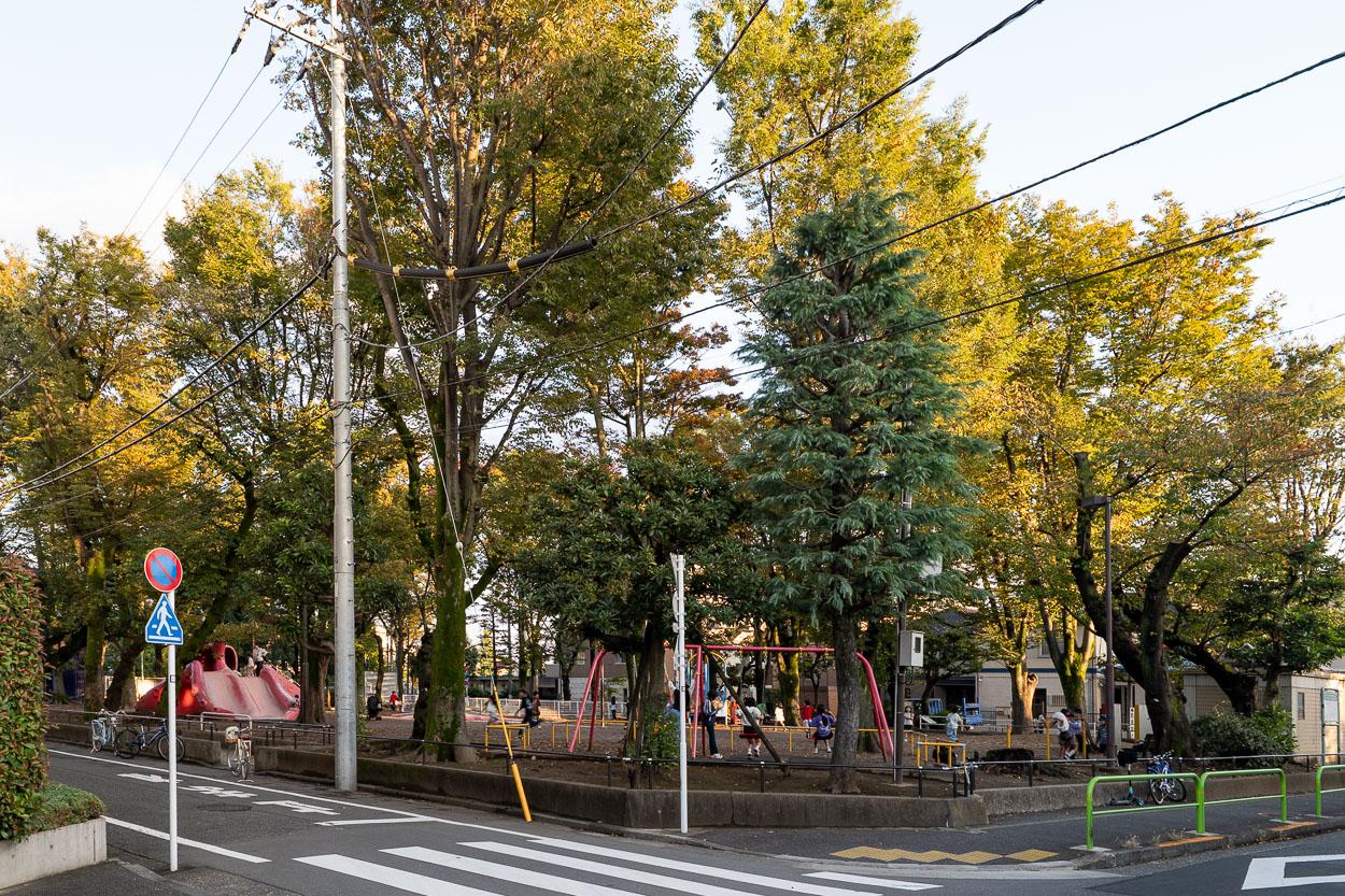 練馬区豊玉北の賃貸物件/建物の向きには公園があります