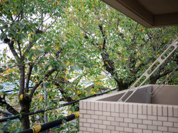 中野区上鷺宮の賃貸物件/さくらに包まれて