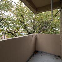 中野区上鷺宮の賃貸物件/南西側バルコニー。視線の先は緑でいっぱい