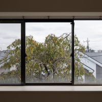 中野区上鷺宮の賃貸物件/出窓の先にも一本の桜の木
