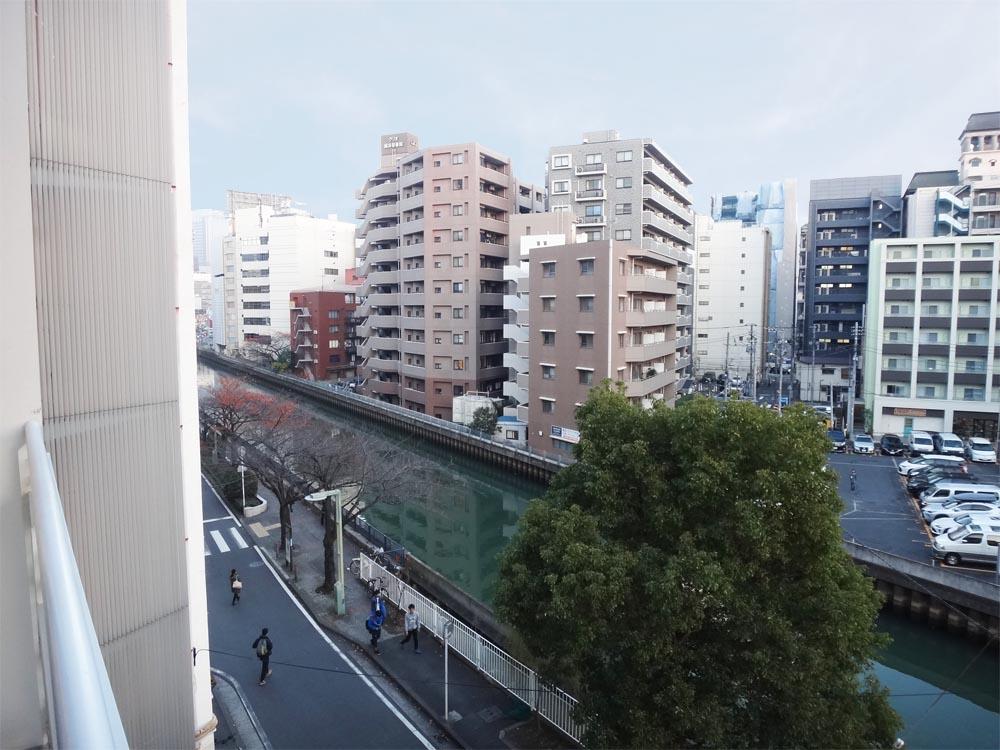 横浜市西区北幸の賃貸物件/川沿いには桜が咲いていて、春には満開の景色