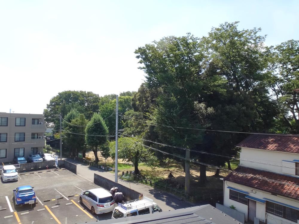 川崎市中原区中丸子の賃貸物件/神社の樹木は大きく、緑の力強さを感じます。全面は駐車場なので圧迫感なしです。