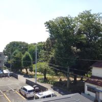 川崎市中原区中丸子の賃貸物件/神社の樹木は大きく、緑の力強さを感じます。全面は駐車場なので圧迫感なしです。