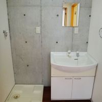 川崎市中原区中丸子の賃貸物件/洗面はシンプルに。