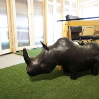 杉並区方南町の賃貸物件/マスコットのサイがお出迎え