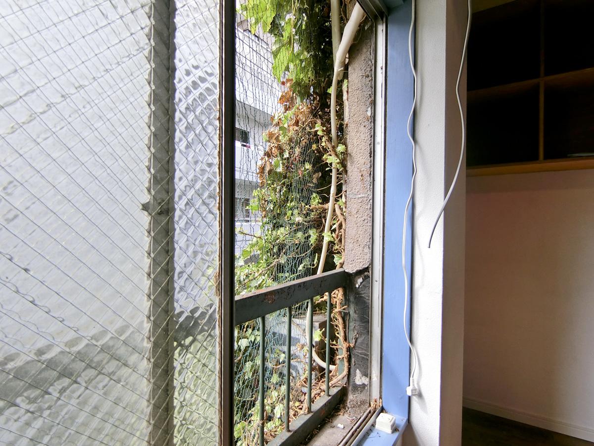 北区赤羽の賃貸物件/窓際には建物を覆う緑が迫ってくる（別部屋の写真ですがほぼ同じ）
