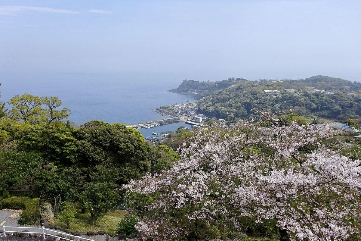 静岡県伊東市川奈の売買物件/建物からの景色（写真は前回募集時のもの）