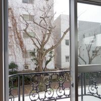 港区南青山の賃貸物件/窓からは隣にある小学校の桜がきれいに見えます