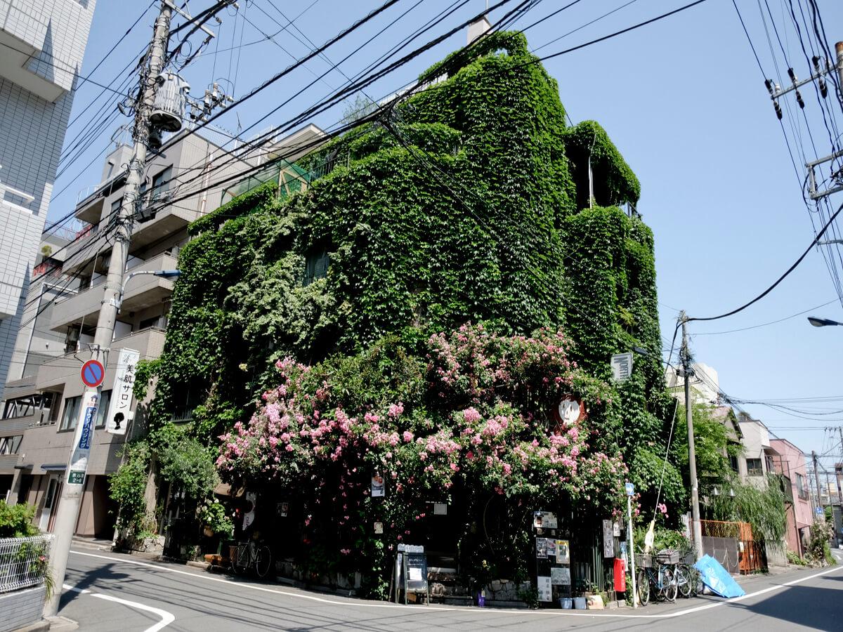 北区赤羽の賃貸物件/バラの時期はこんなにも咲きます