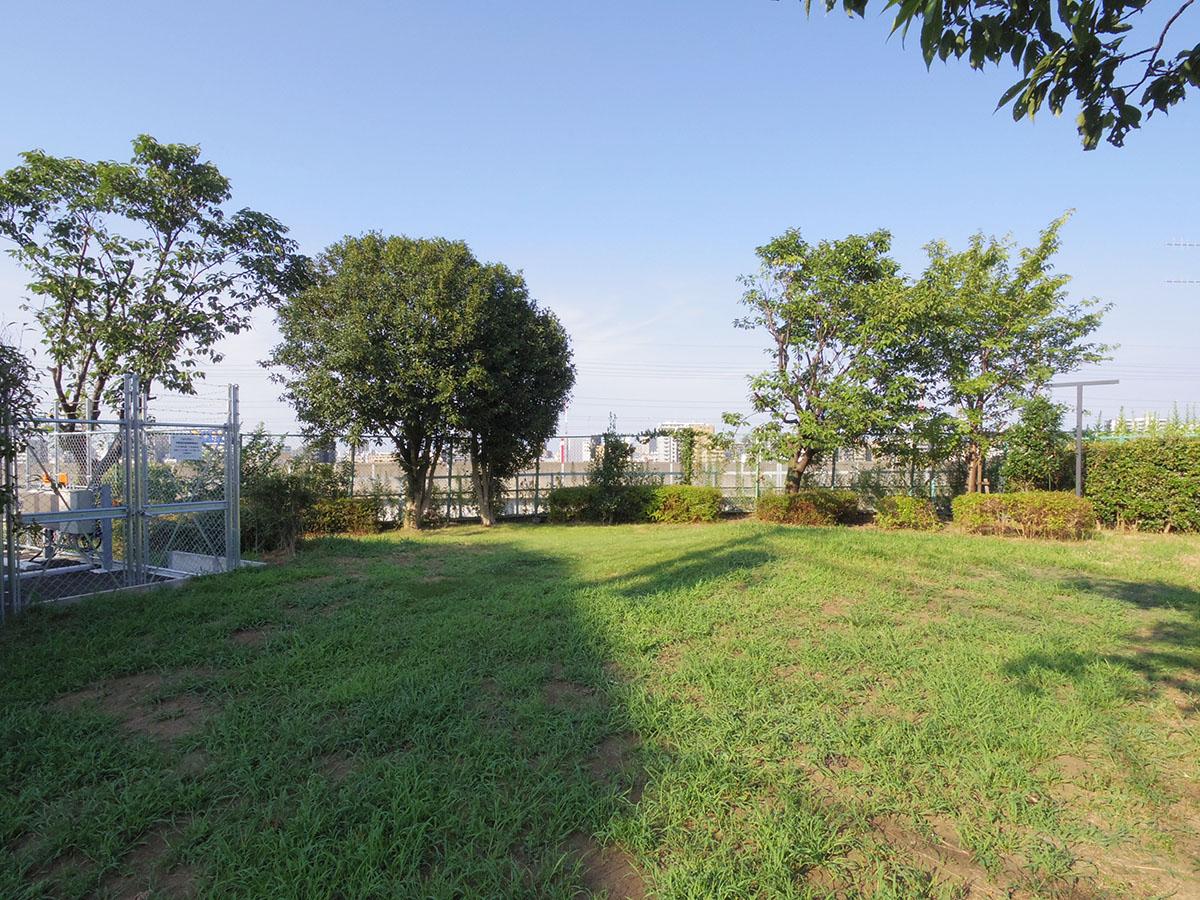 北区田端の賃貸物件/「電車の見える丘公園」。空が広くて気持ちいい