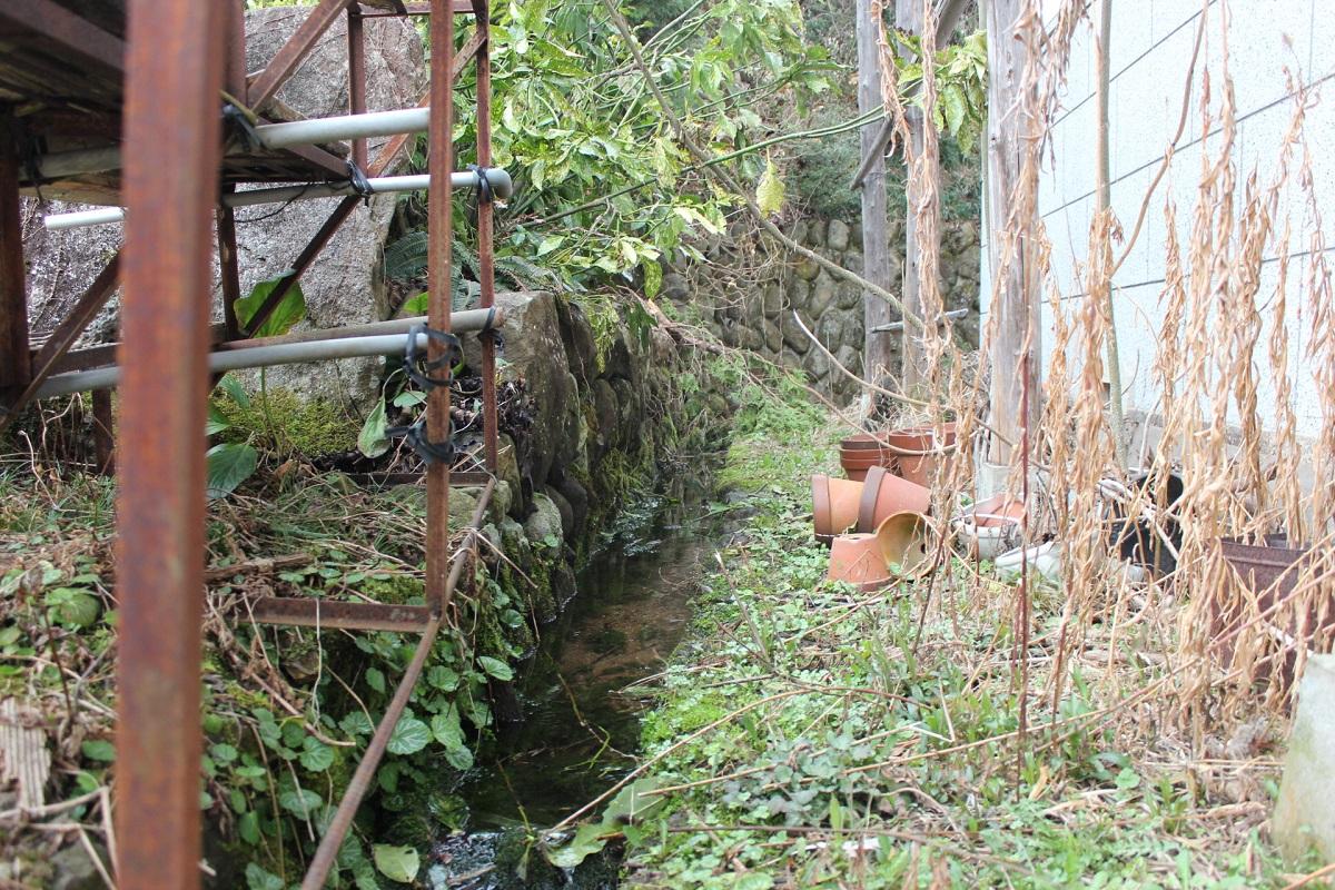 山形県上山市下生居の売買物件/敷地内には小さな水流が複数箇所あり。