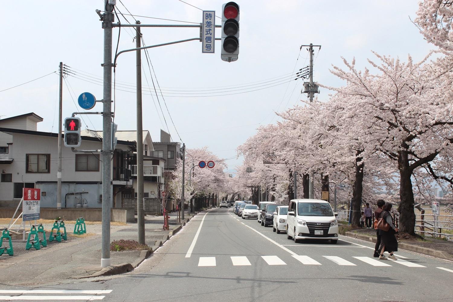 山形県山形市小白川町の売買物件/桜並木と馬見ヶ崎川を望む、自然豊かな好立地の売地。