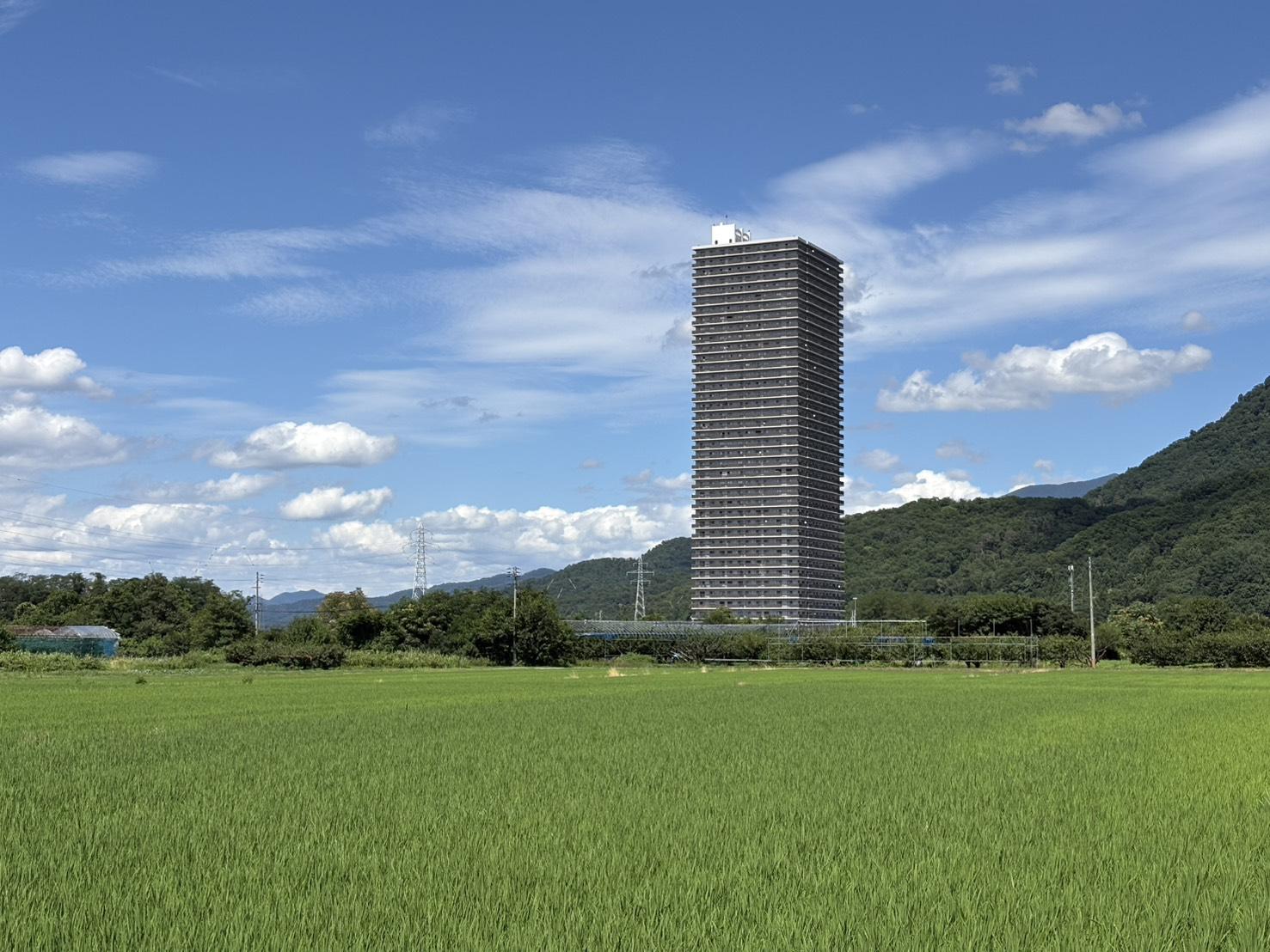 山形県上山市宮脇の賃貸物件/夏の風景。稲は青く勢いを増す。